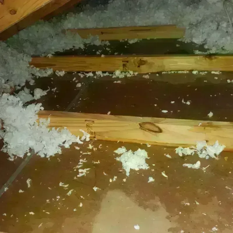 Attic Water Damage in Enon, OH